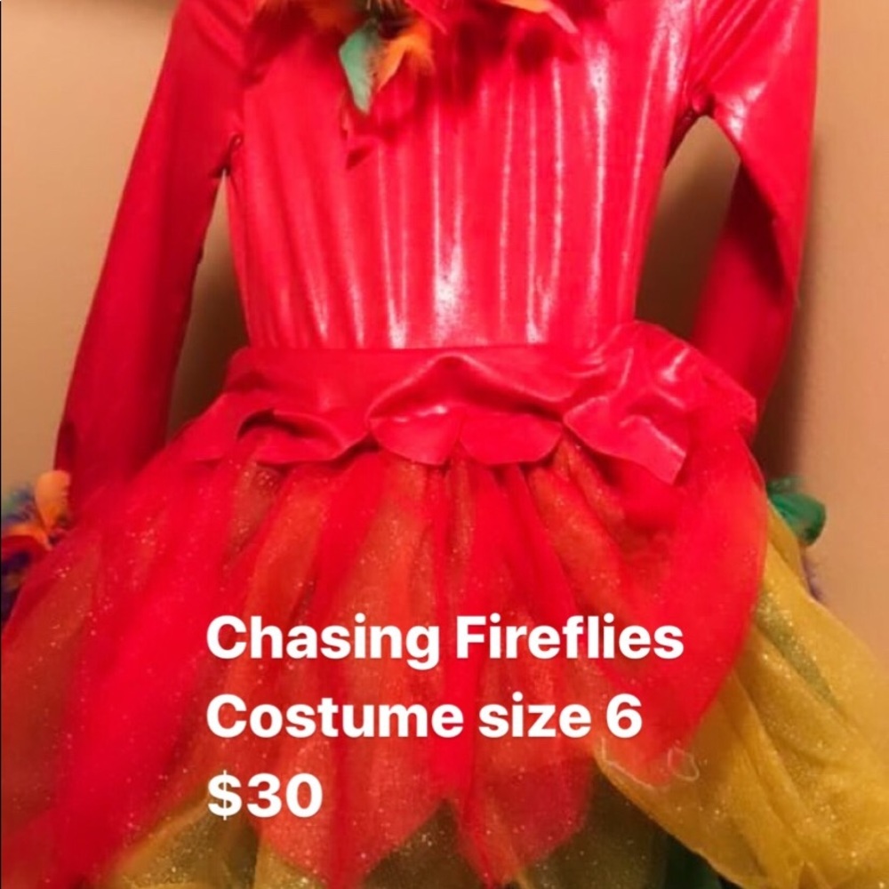 Chasing Fireflies
